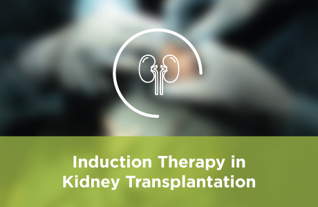 Induction Therapy in Kidney Transplantation Course