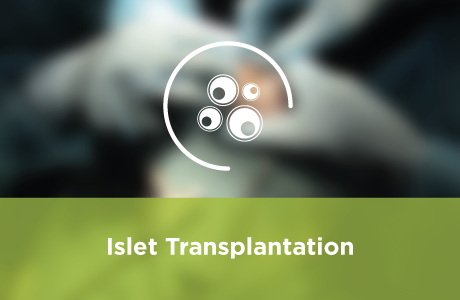 Islet Transplantation Course