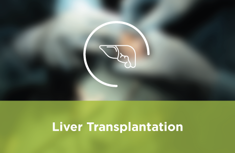 Liver Transplantation Course
