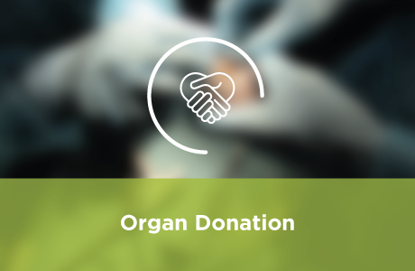 Organ Donation Course